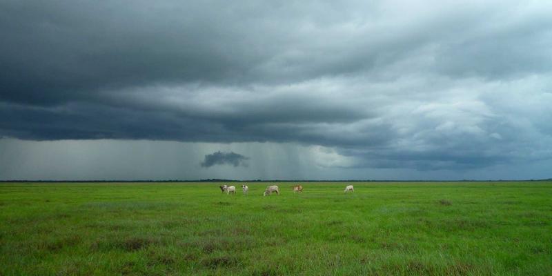 最终幻想12的松野泰己印记：深度解析伊瓦利斯世界观与政治叙事攻略
