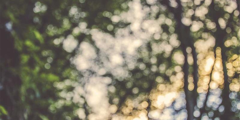 最终幻想14：十年角色扮演传奇的进击之路——新版本动态与核心攻略解析