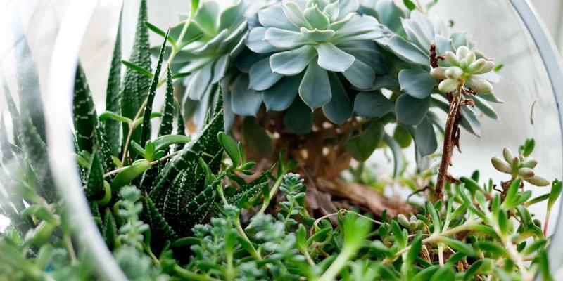 最终幻想16动作化转型深度分析：鬼泣式战斗与成人化叙事的得失