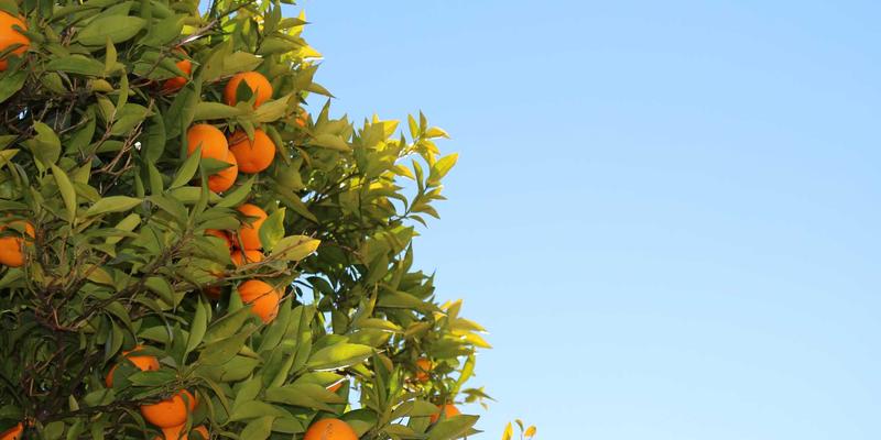 最终幻想36：角色扮演游戏的史诗新章与Final Fantasy系列的传承创新