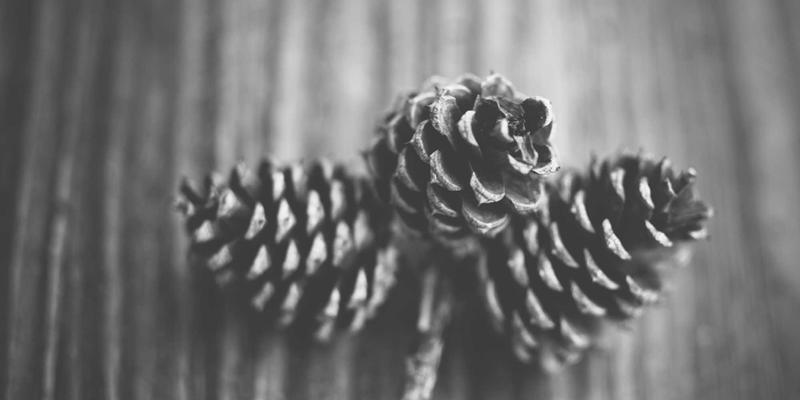 《最终幻想57》：从经典RPG到玩家社区的文化现象