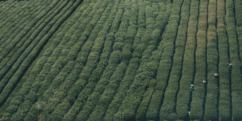 《最终幻想68》：RPG王冠上的新宝石，还是FF系列的传承与革新？