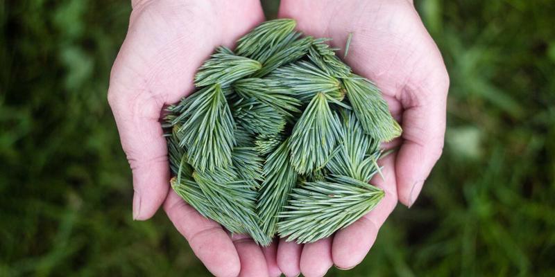 《最终幻想82》前瞻:史克威尔艾尼克斯的宇宙史诗与革新之路