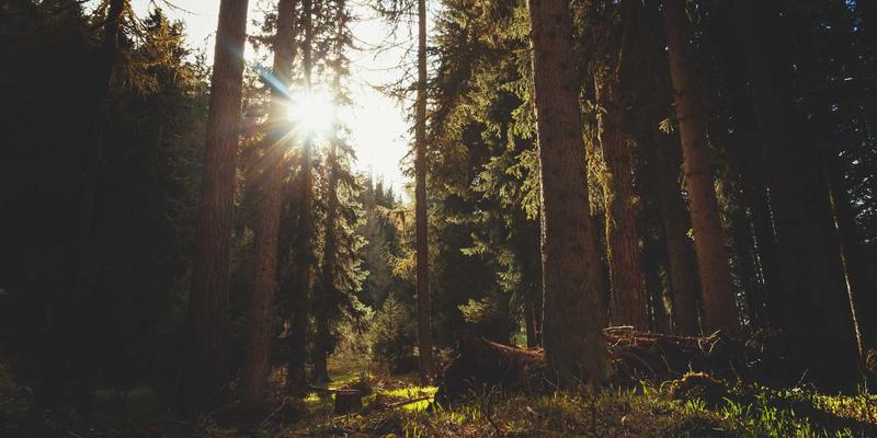《最终幻想8》的SeeD与学院设定：浪漫爱情故事下的军事教育体系与世界观解构