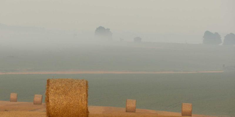 最终幻想9：一场对系列经典的深情回归——主题、角色与艺术风格深度解析