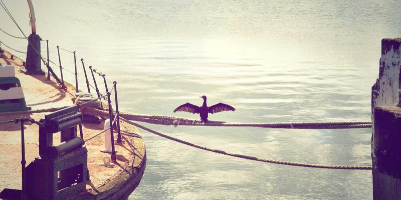 《最终幻想》极限技设计哲学：从量变到质变的RPG角色高光时刻