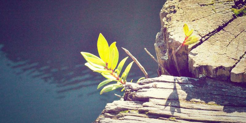 《最终幻想》水晶编年史：核心神话符号解析与RPG玩家进阶攻略