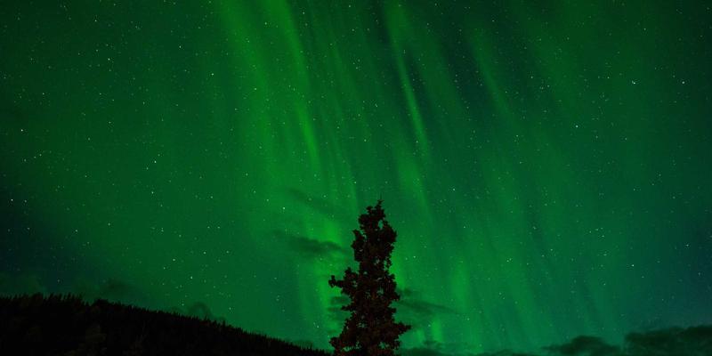 《最终幻想》系列深度攻略:从入门到精通的RPG艺术